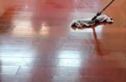 辦公區(qū)域保潔要注意哪些方面呢？